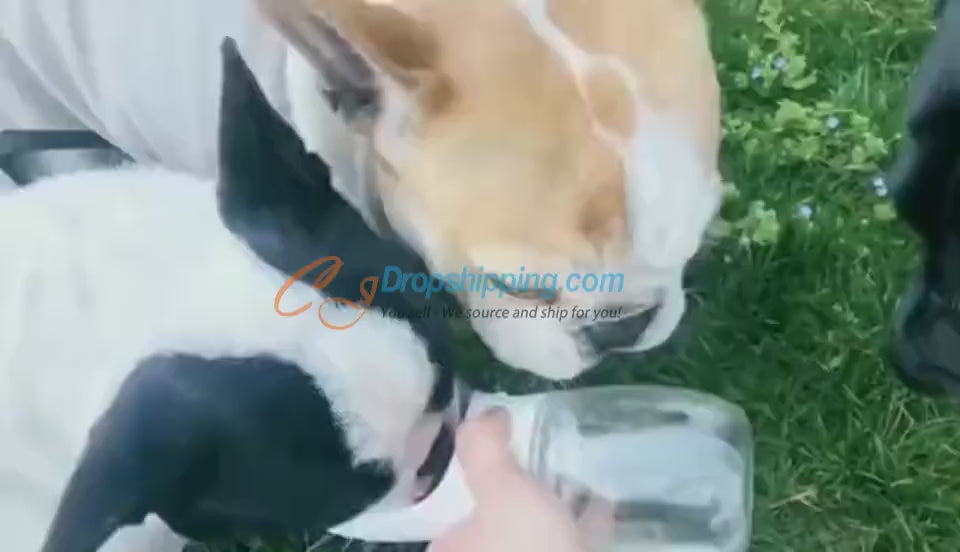 Dog Drinking Bottle